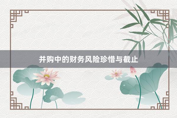 并购中的财务风险珍惜与截止