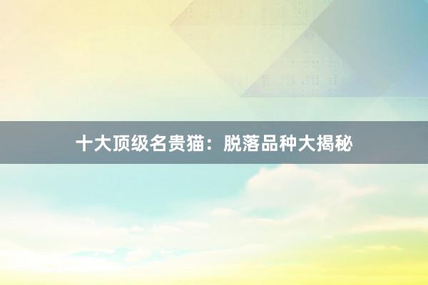 十大顶级名贵猫：脱落品种大揭秘